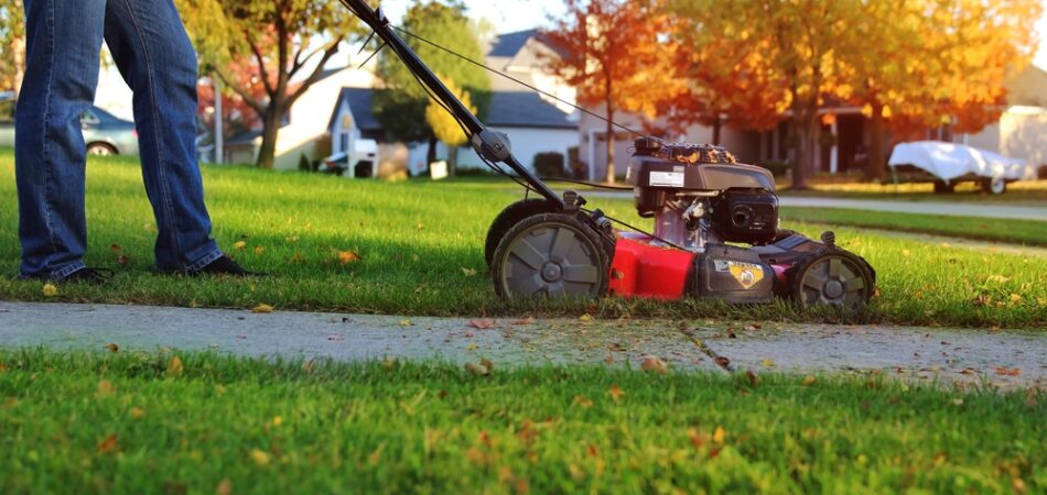 Mowing,the,grass,with,a,lawn,mower,in,sunny,autumn.